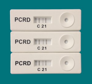 ӢPocket DiagnosticЯʽPCRﶨԼ⿨PCR⣩