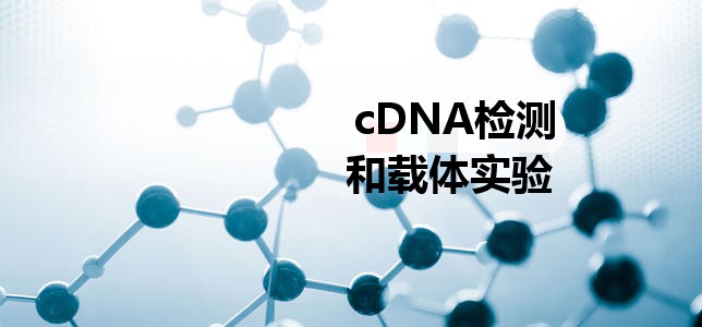 cDNAʵ